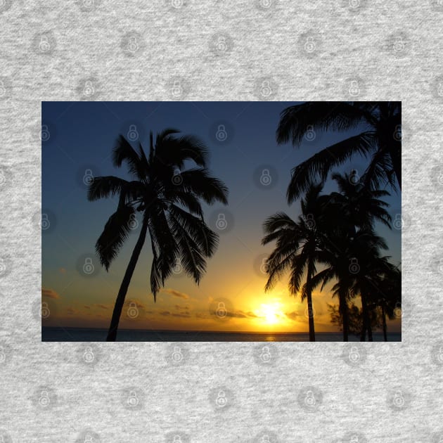 Palm Trees Sunset in Paradise by KaSaPo